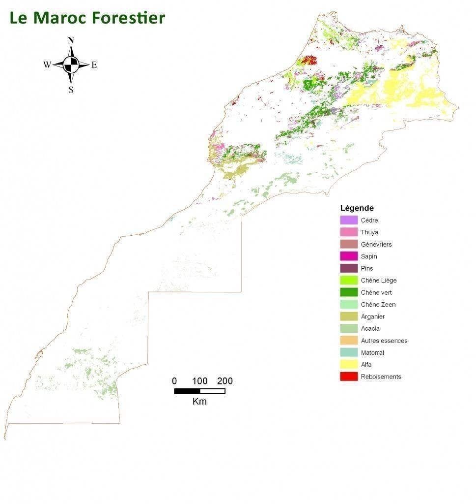 maroc_forestier