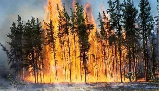 incendie incendie-