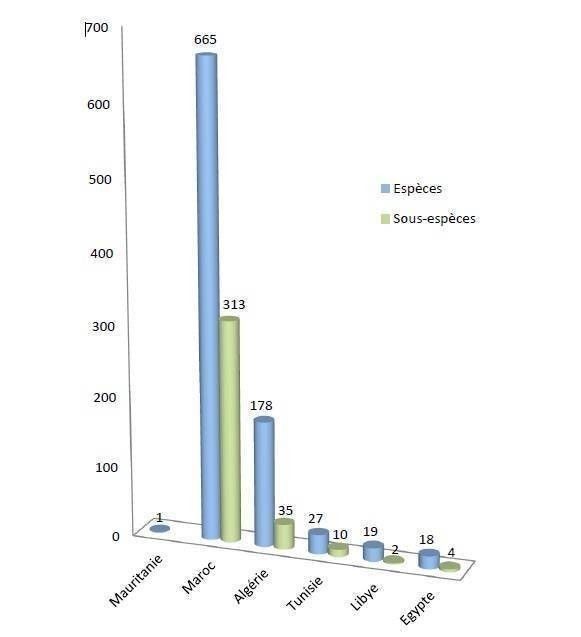 flore endémique Taux d'endémiques dans les pays de l'Afrique du Nord