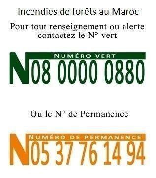 numéro vert incendies incendits