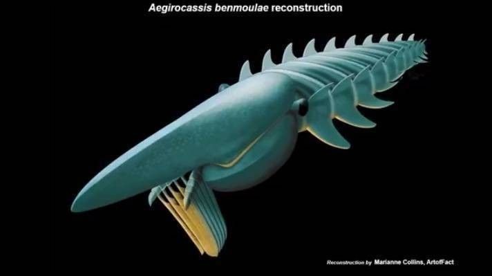 benmoulae